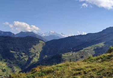 Tocht Stappen Beaufort - lac de guerin - Photo