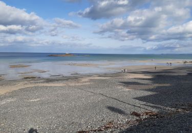 Tour Wandern Plérin - pointe du roseliers - Photo