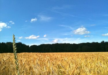 Tour Zu Fuß Jesteburg - Jesteburg Wanderweg 2 - Photo