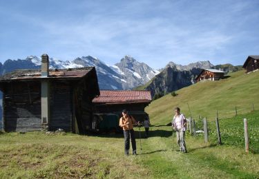 Percorso A piedi Lauterbrunnen - CH-Spilboden-Grauseeli - Photo