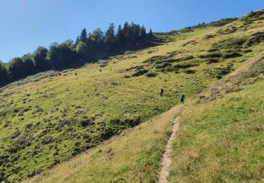 Excursión Senderismo Bordes-Uchentein - cabanes du Trapech et Tuc du Coucou en boucle - Photo