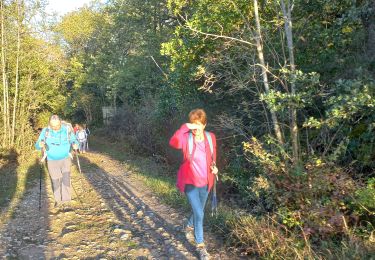 Tocht Stappen Saint-Polycarpe - Saint Polycarpe - Photo