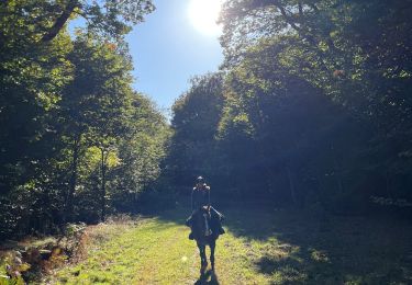 Trail Horseback riding Habay - Marbehan 9 octobre 2022e - Photo