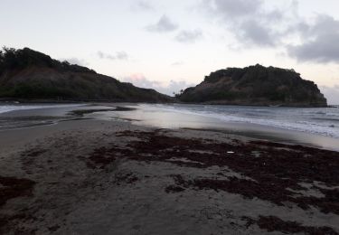 Trail Walking Sainte-Marie - Tombolo - l'anse du Four en boucle. - Photo