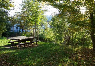 Percorso A piedi Embrach - Embrach Oberdorf - Oberembrach - Photo