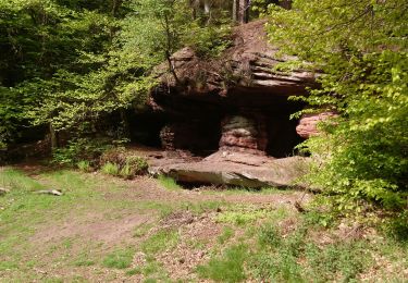 Tocht Stappen Sparsbach - Sparsbach Wimmenau Erckartswiller - Photo