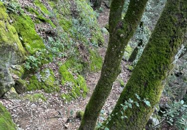 Tour Wandern Saint-Michel-de-Chabrillanoux - Saint michel - Photo