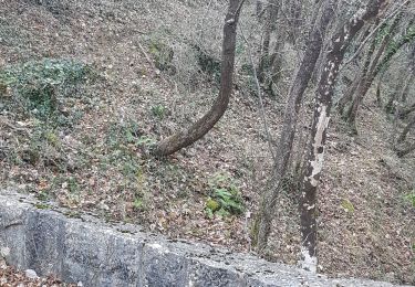 Tour Wandern Courmes - Bramafan - Photo