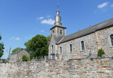 Tour Wandern Tenneville - Paysages & Patrimoine - A travers champs - Photo