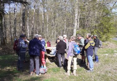 Randonnée Marche Seichebrières - forêt d'Orléans  - Photo