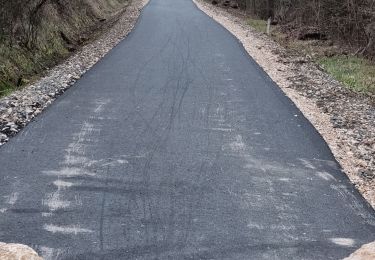 Tocht Stappen Vouthon-Haut - Vouthon-Haut - Photo