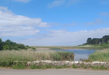 Tocht Stappen Saint-Gildas-de-Rhuys - PR_56_St-Gildas-Rhuys_BA_02_Circuit1b_Les-Etangs_20240602 - Photo