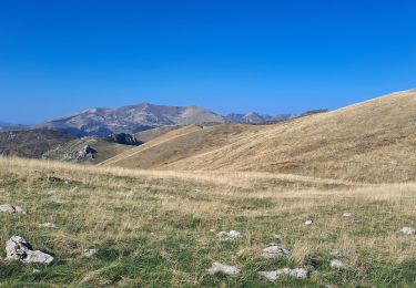 Tour Wandern Lus-la-Croix-Haute - Pointe Feuillette - Photo