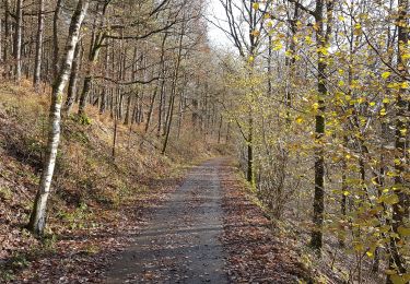 Tocht Paardrijden Viroinval - Olloy Oignies Regniessart - Photo