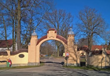 Tocht Te voet Mücka - Mikow - Grüner Strich - Rundweg 12 km - Photo