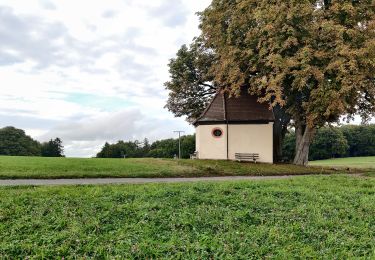 Percorso A piedi Bessenbach - Kulturweg Bessenbach 1 - Photo