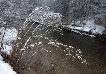 Tocht Te voet Langnau im Emmental - Langnau i.E. - Hohwacht - Photo