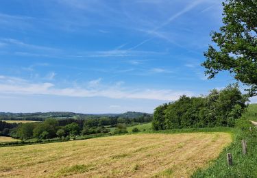 Randonnée Marche Durbuy - Marche ADEPS Ozo 15 km - Photo