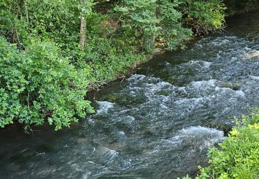 Trail Walking Sainte-Anastasie-sur-Issole - Saint Quinis - Ste Anastasie - Photo
