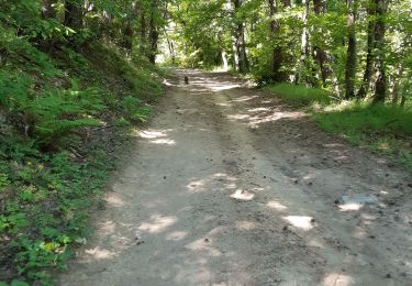 Tour Wandern Saint-Fortunat-sur-Eyrieux - 07 st fortunat dubieres st Vincent dufort - Photo