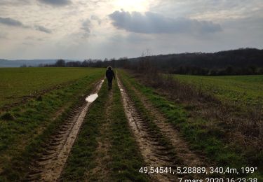 Trail Walking Bièvres - Bièvres France - Photo