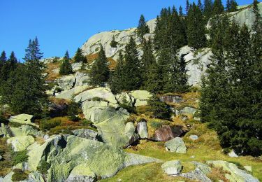 Percorso A piedi Göschenen - Göscheneralpsee Rundwanderung - Photo