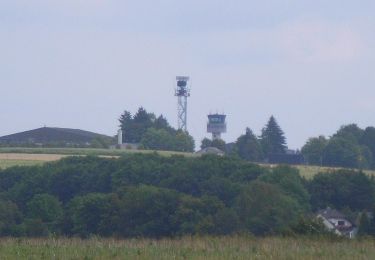 Randonnée A pied Alflen - Wacholder Endert Pfad - Photo