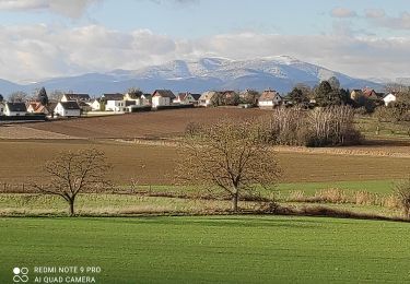 Trail Walking Heimsbrunn - Heimsbrunn - Photo