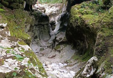 Randonnée Marche Saint-Agnan-en-Vercors - trop Alexis - Photo