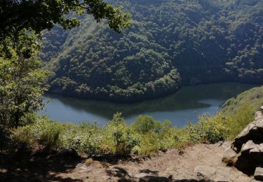 Trail Walking Marcillac-la-Croisille - Le jardin de Bardot - Photo