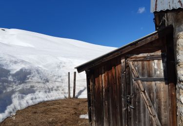 Randonnée Raquettes à neige Névache - Les Thures - Photo