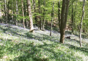 Trail Walking Lobbes - Portelette 12 04 25 - Photo