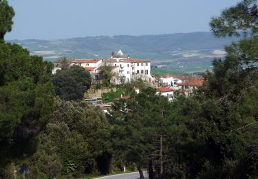 Tour Zu Fuß Collesalvetti - Sentiero del Calvario - Photo