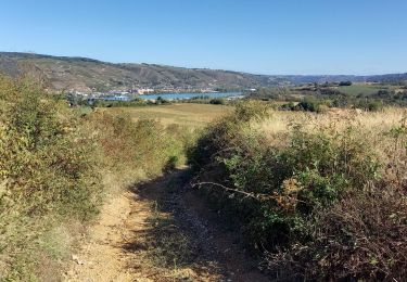 Trail Walking Reventin-Vaugris - Reventin - Photo