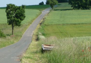 Trail On foot Königsfeld - Auf den Höhen des Jura - Photo