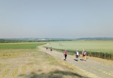 Trail Walking Coulombs-en-Valois - Coulombs en Valois du 8 Juin 2023 - Photo