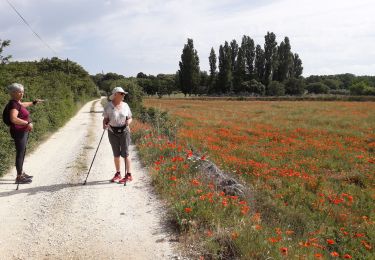 Randonnée Marche Réauville - reau - Photo