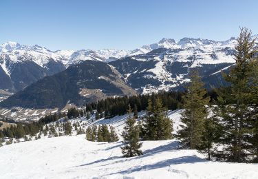 Percorso Racchette da neve Beaufort - Sous la légette du Mirantin en boucle - Photo