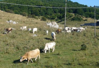 Randonnée A pied Palena - Colle Fauni - Pietra Cernaia - Photo