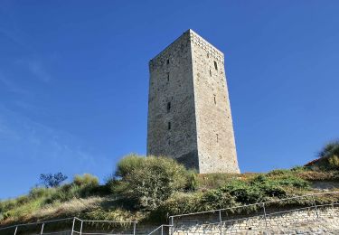 Tour Zu Fuß Monastero Bormida - Pfad der 5 Türme - Photo