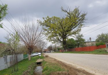 Randonnée A pied Drăgășani - The first OSM winepath in Romania - Photo