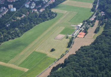 Excursión A pie Bad Kissingen - Wanderweg offener gelber Pfeil - Photo