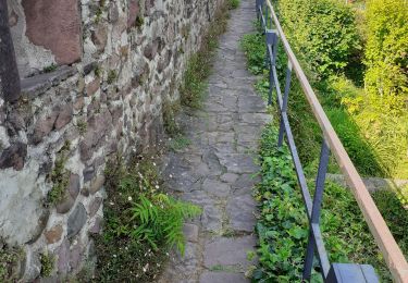 Tocht Stappen Saint-Jean-Pied-de-Port - saint Jean pied de port  - Photo