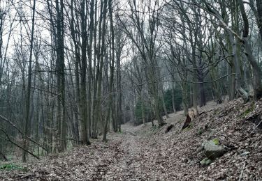 Trail Walking Chaudfontaine - tour du bois de la rochette - Photo