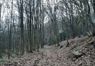 Tocht Stappen Chaudfontaine - tour du bois de la rochette - Photo