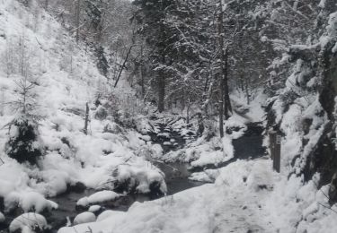 Trail Walking Malmedy - Tro Maret-les Six Hetres-Bernister - Photo