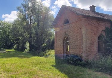 Excursión Senderismo Brinon-sur-Sauldre - Quelques ecluses du canal de la Sauldre - Photo