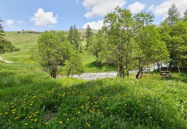 Trail Walking Saint-Véran - Queyras 05 - Saint-Véran - Pic Cascavelier et retour - Photo