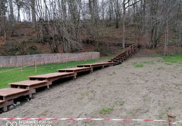 Tour Wandern Ciney - Chevetogne  - Photo
