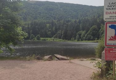 Tour Wandern Woll - Lac de Blanchemer  - Photo